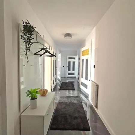 Yipy Am Landesmuseum Halle Halle (Saale)