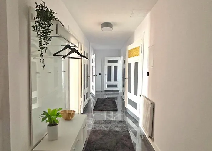 Yipy Am Landesmuseum Halle Halle (Saale)